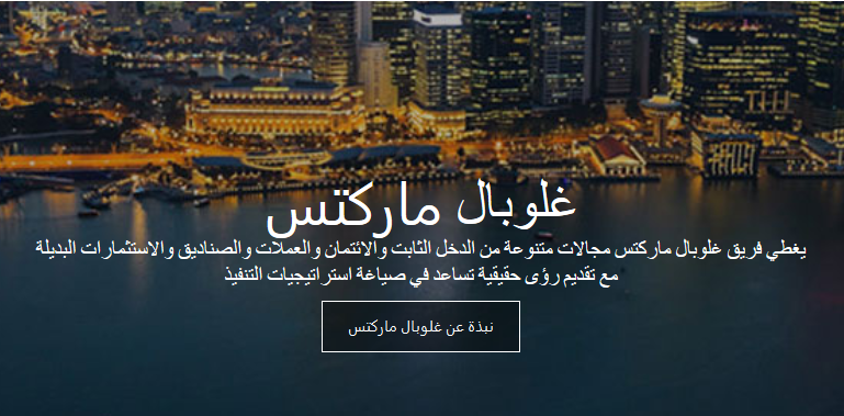 خدمات الشركة