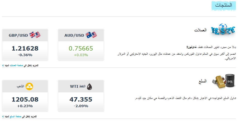 منتجات الشركة