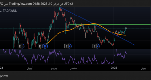 شارت سهم سال