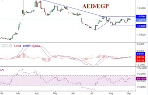 شارت زوج الدرهم الاماراتى مقابل الجنيه المصرى