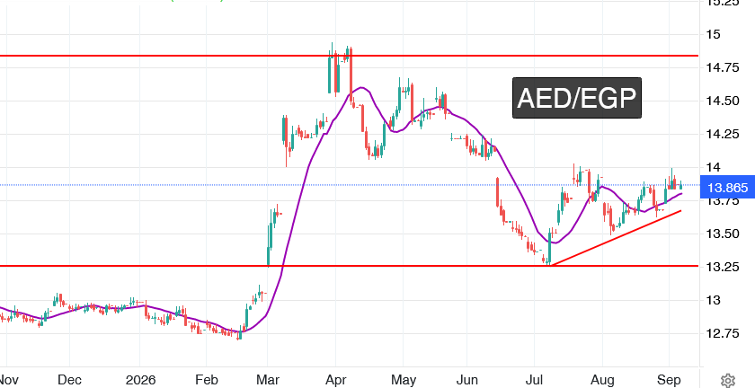 توقعات الدرهم الإماراتي مقابل الجنيه المصري: هل يستهدف AED/EGP مستوى 14 جنيه؟