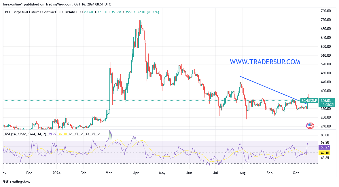 أرتفاع سعر البيتكوين كاش (BCH) وسط أنتعاش سعر البيتكوين فوق 66000 دولار