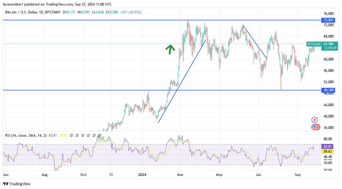 شارت البيتكوين مقابل الدولار الامريكى