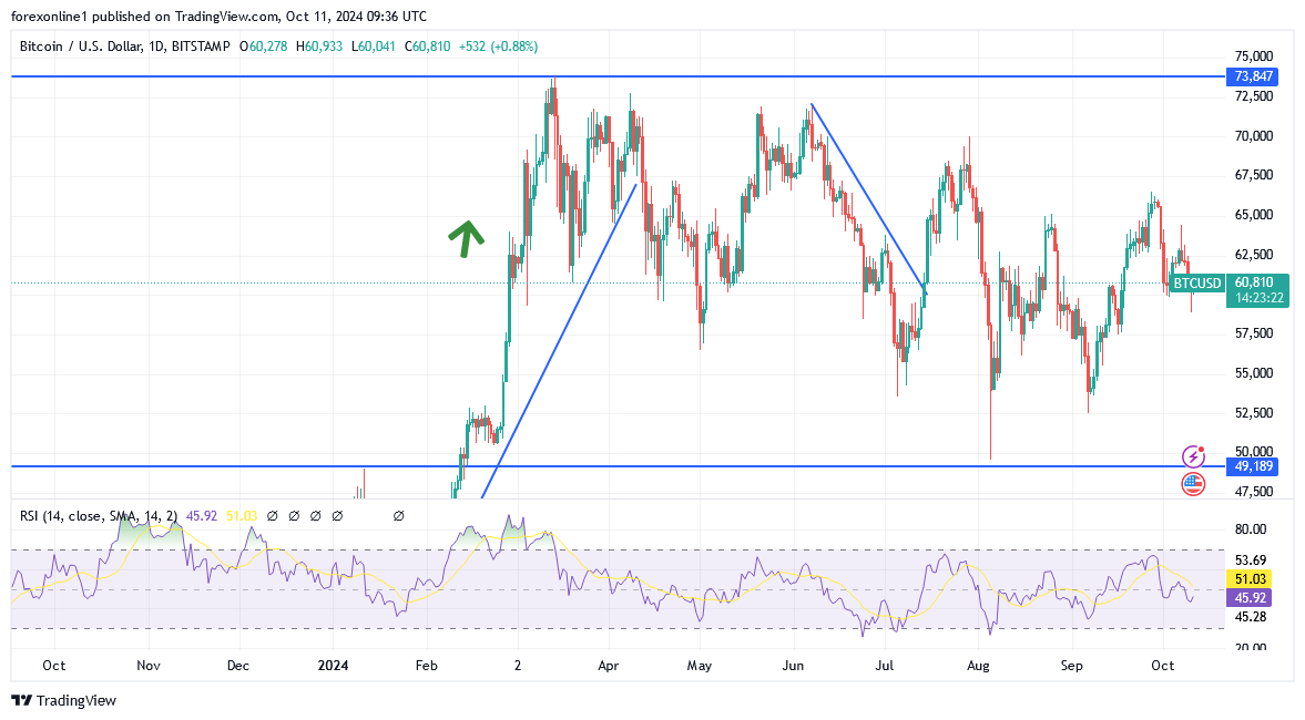 شارت البيتكوين مقابل الدولار الامريكى 