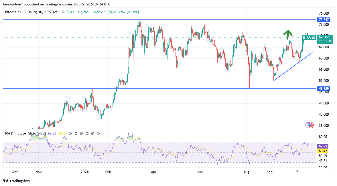 عملة بيتكوين تقترب من 70 ألف دولار. وصناديق الاستثمار المتداولة بها تشهد تدفقات قياسية