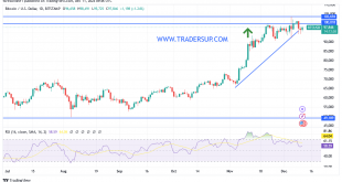 شارت البيتكوين الدولار
