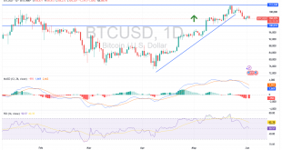 شارت سعر البيتكوين مقابل الدولار الامريكى