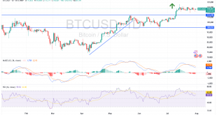 شارت سعر البيتكوين مقابل الدولار الامريكى