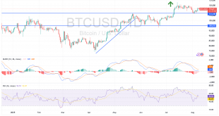 رسم بيانى لسعر بيتكوين دولار امريكى