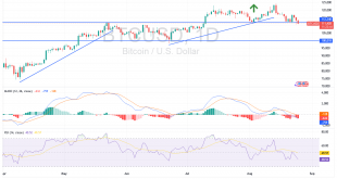 شارت بيتكوين دولار أمريكى