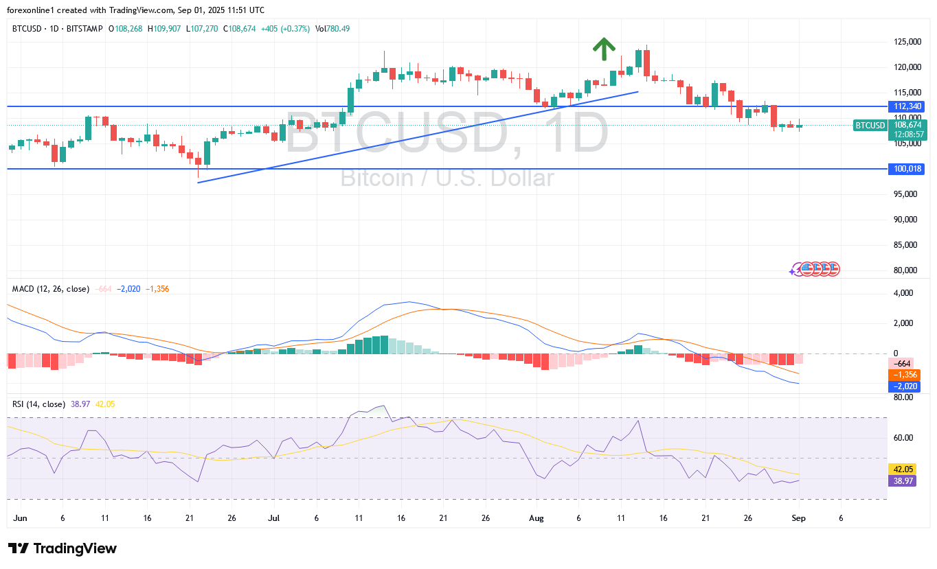 توقعات بيتكوين دولار امريكى BTCUSD : هل يتجه سعر البيتكوين أسفل 100 ألف دولار؟