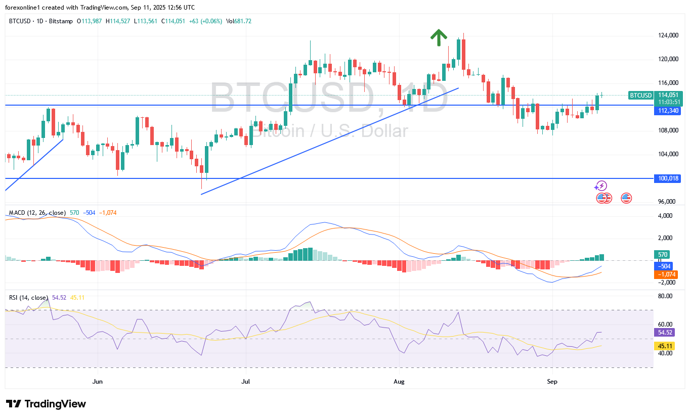 سعر البيتكوين دولار BTCUSD اليوم فى مسار أرتداد صاعد ولكن حذرا