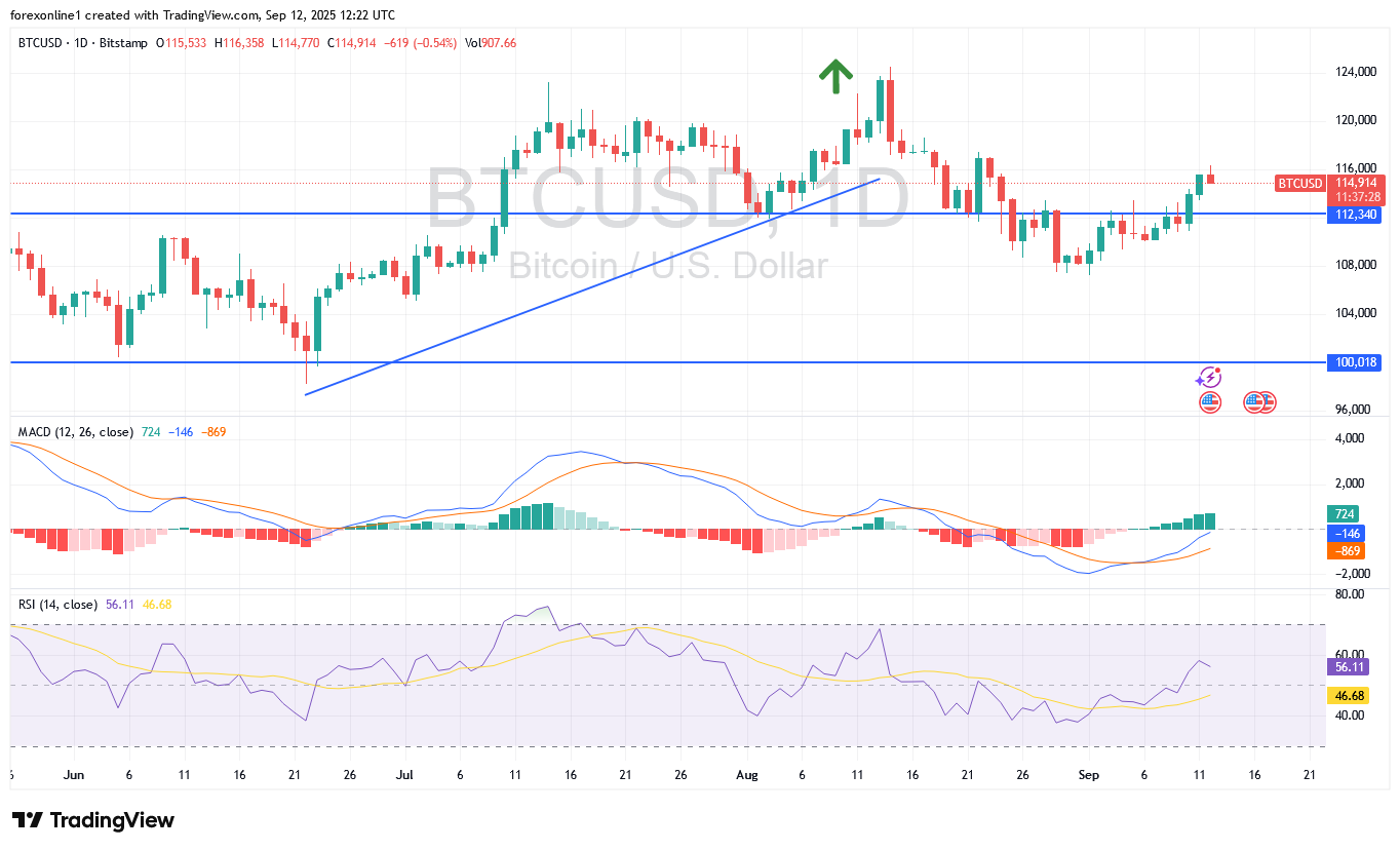 سعر بيتكوين دولار BTCUSD فى الايام المقبلة : هل نشهد أختراقات صعودية أو سيكون للدببة راى أخر ؟