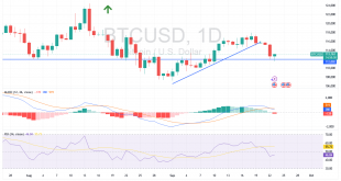 شارت البيتكوين مقابل الدولار الامريكى