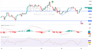 شارت البيتكوين دولار امريكى