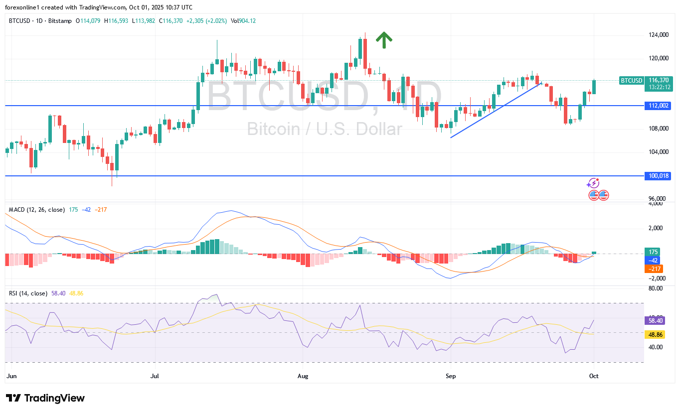 سعر البيتكوين دولار اليوم عند 116 الف دولار الثيران يحاولون كسر مقاومة نفسية