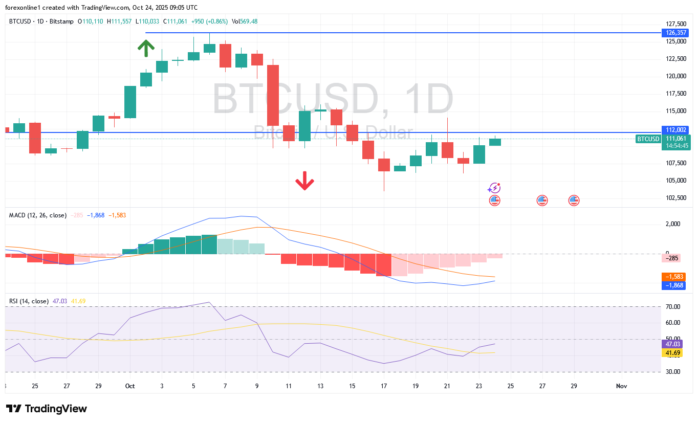 عملة البيتكوين تبحث عن عوامل تحفيز للخروج من التحول الهبوطى