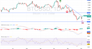 شارت بيتكوين دولار امريكى