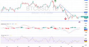 شارت بيتكوين دولار امريكى