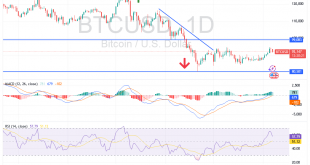 شارت البيتكوين دولار امريكى