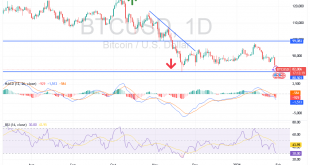 شارت زوج بيتكوين دولار امريكى