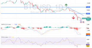 شارت البيتكوين دولار امريكى