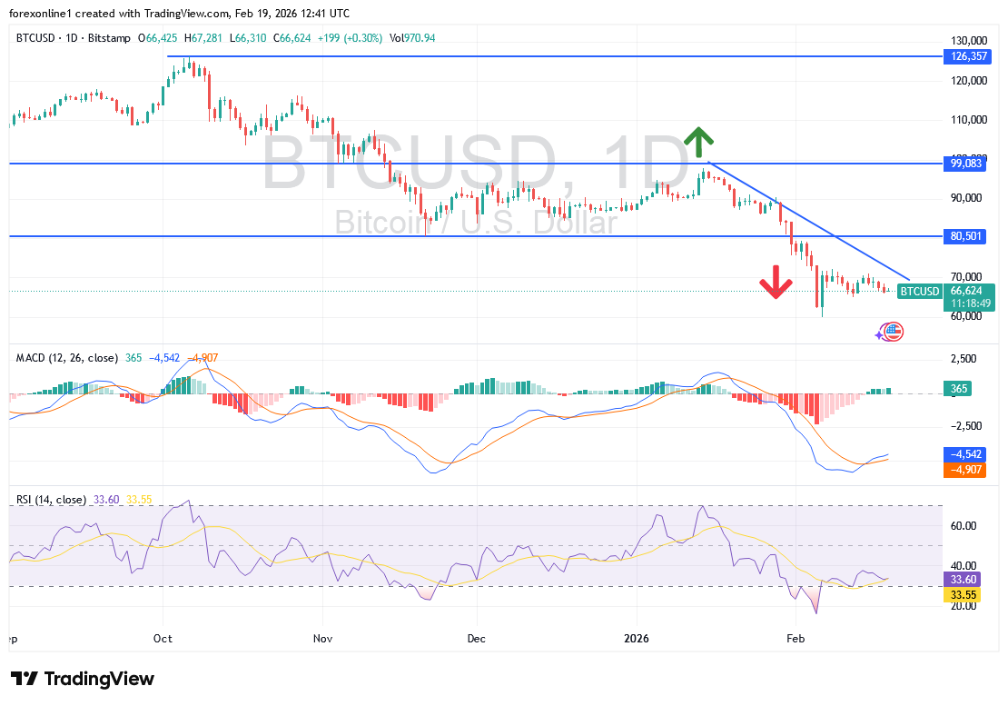 سعر البيتكوين يتراجع الى 66.500 الف دولار وسط تصاعد القلق الاقتصادي العالمي
