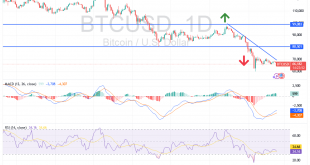 شارت البيتكوين مقابل الدولار الامريكى