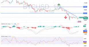 شارت البيتكوين دولار امريكى