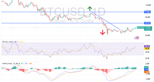 شارت البيتكوين مقابل الدولار الامريكى