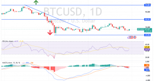 شارت البيتكوين مقابل الدولار