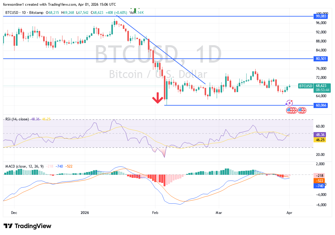 اتجاه البيتكوين مقابل الدولار الامريكى الهبوطى الاقوى: فهل يمكن الشراء الان ؟