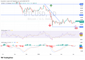 شارت البيتكوين دولار امريكى