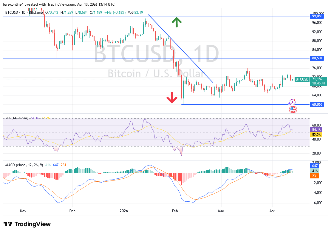 اتجاه البيتكوين BTC أمام اختبار حاسم. هل يستمر الصعود أم يفقد الزخم؟
