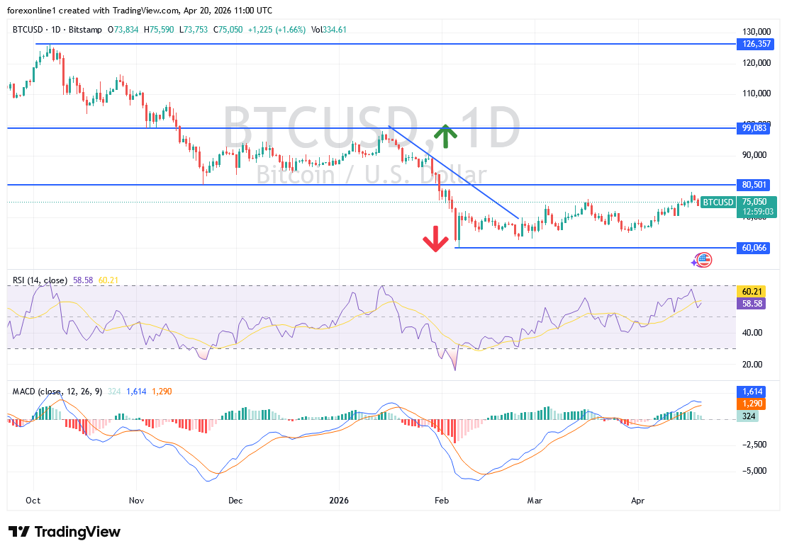 توقعات البيتكوين مقابل الدولار مع تجدد التوترات فى الشرق الاوسط