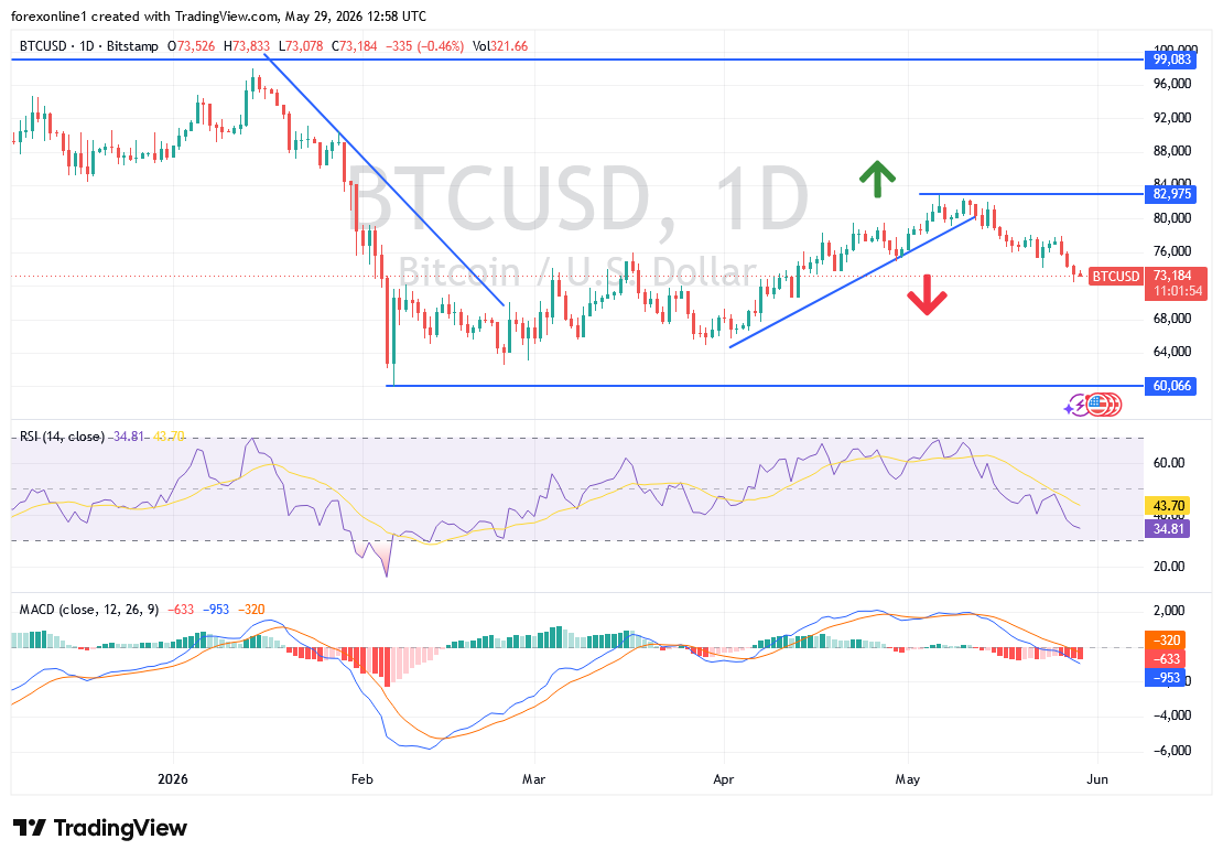 البيتكوين دولار BTCUSD يتراجع بقوة. فما اسباب تراجع العملات الرقمية ؟