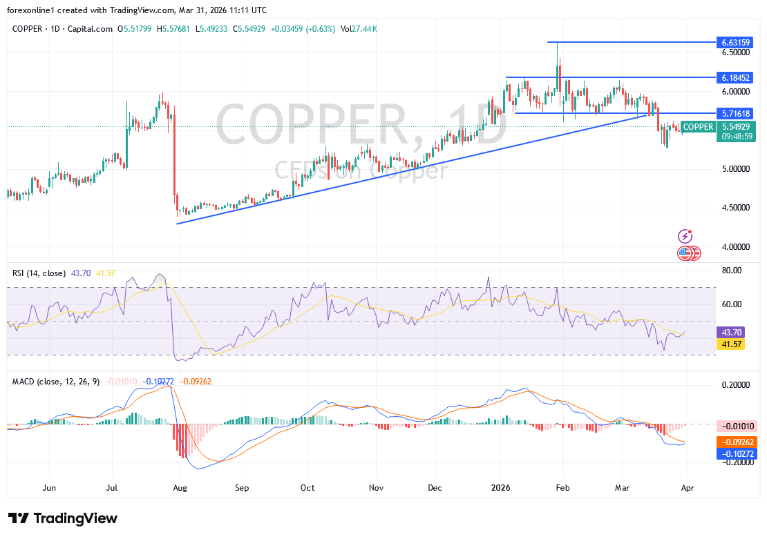 تحليل أسعار النحاس اليوم: هل ينجح السعر في التعافي أم تستمر الضغوط البيعية؟