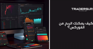 كيف يمكنك الربح من الفوركس