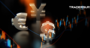 مقدمة لأزواجِ العملات الأجنبية