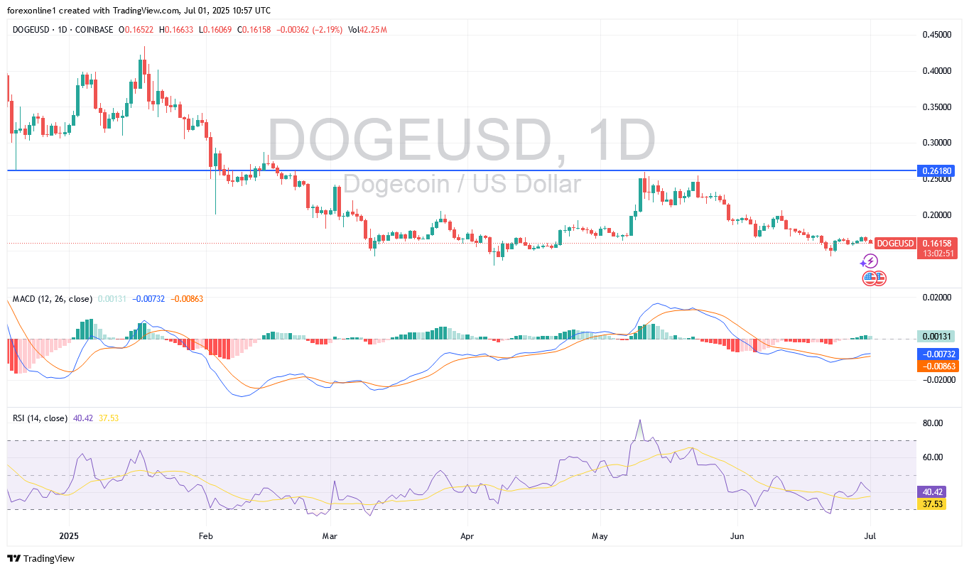 توقعات عملة دوج كوين Dogecoin لا تزال هبوطية