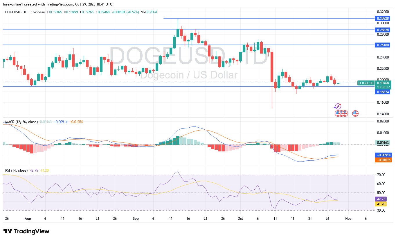 هل يتجه سعر دوجكوين دولار DOGEUSD الى مناطق شراء ؟