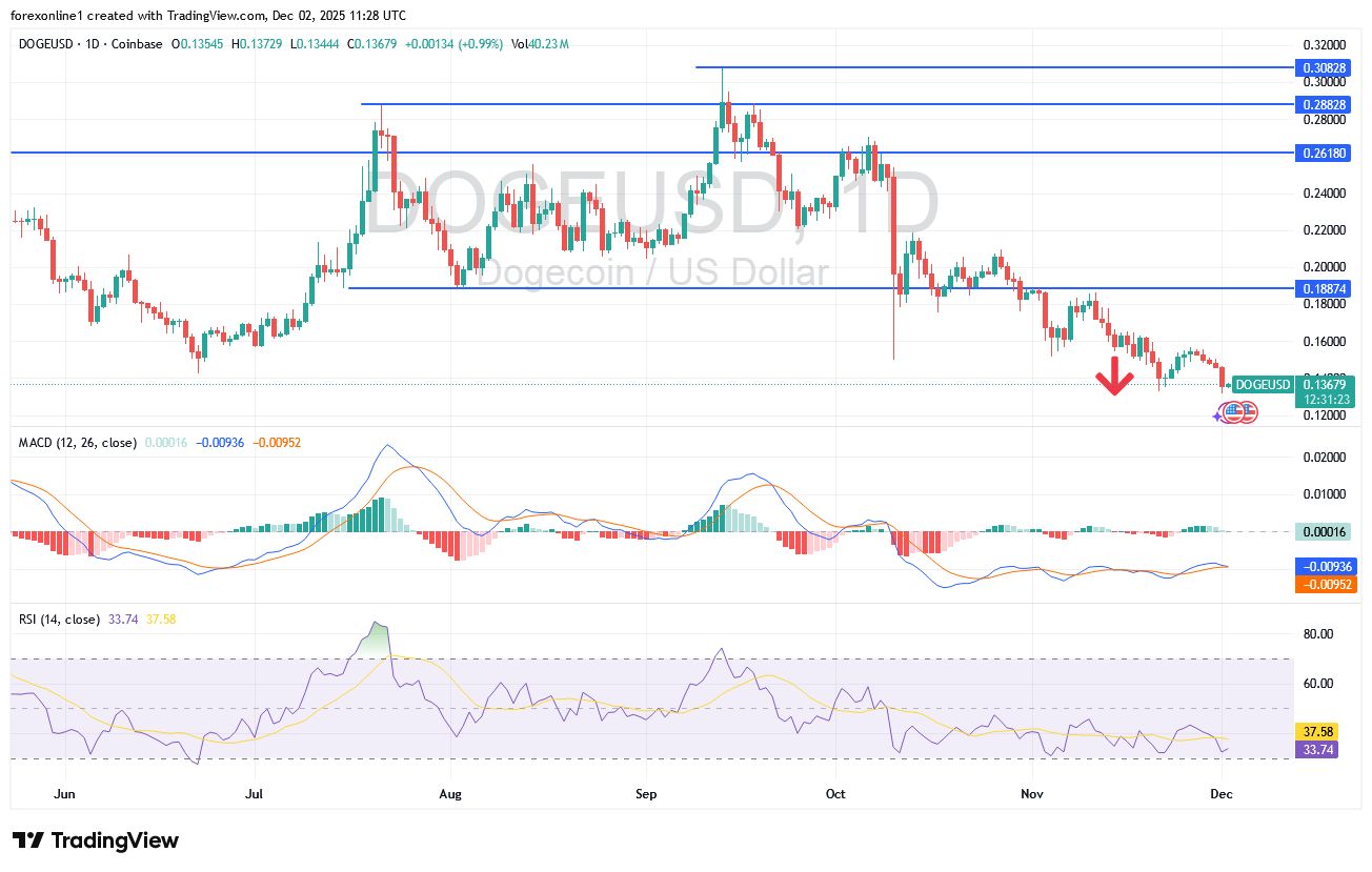 سعر دوجكوين دولار يتهاوى دون مستويات دعم هامة