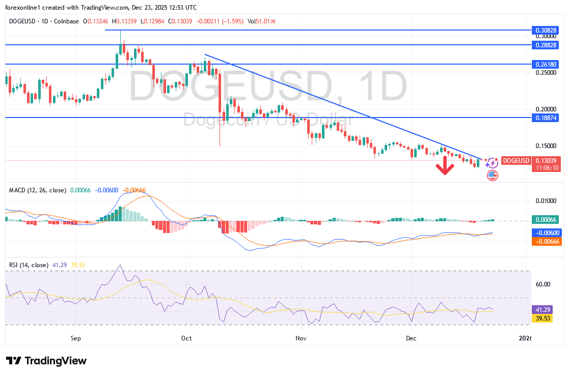 محاولات صعود الدوجكوين لا تزال ضعيفة وسط سيطرة قوية للدببة