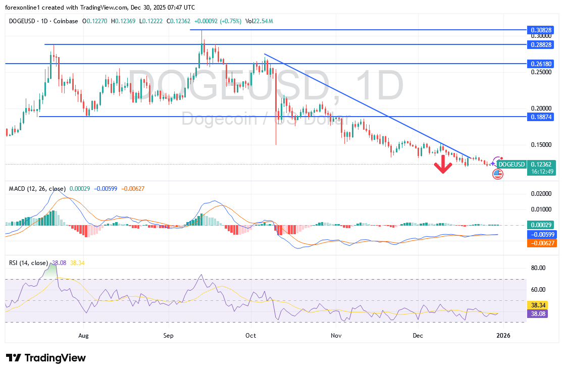 عملة الدوجكوين DOGE فى مواجهة أغلاق سنوى هابط قوى