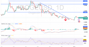 شارت زوج دوج دولار