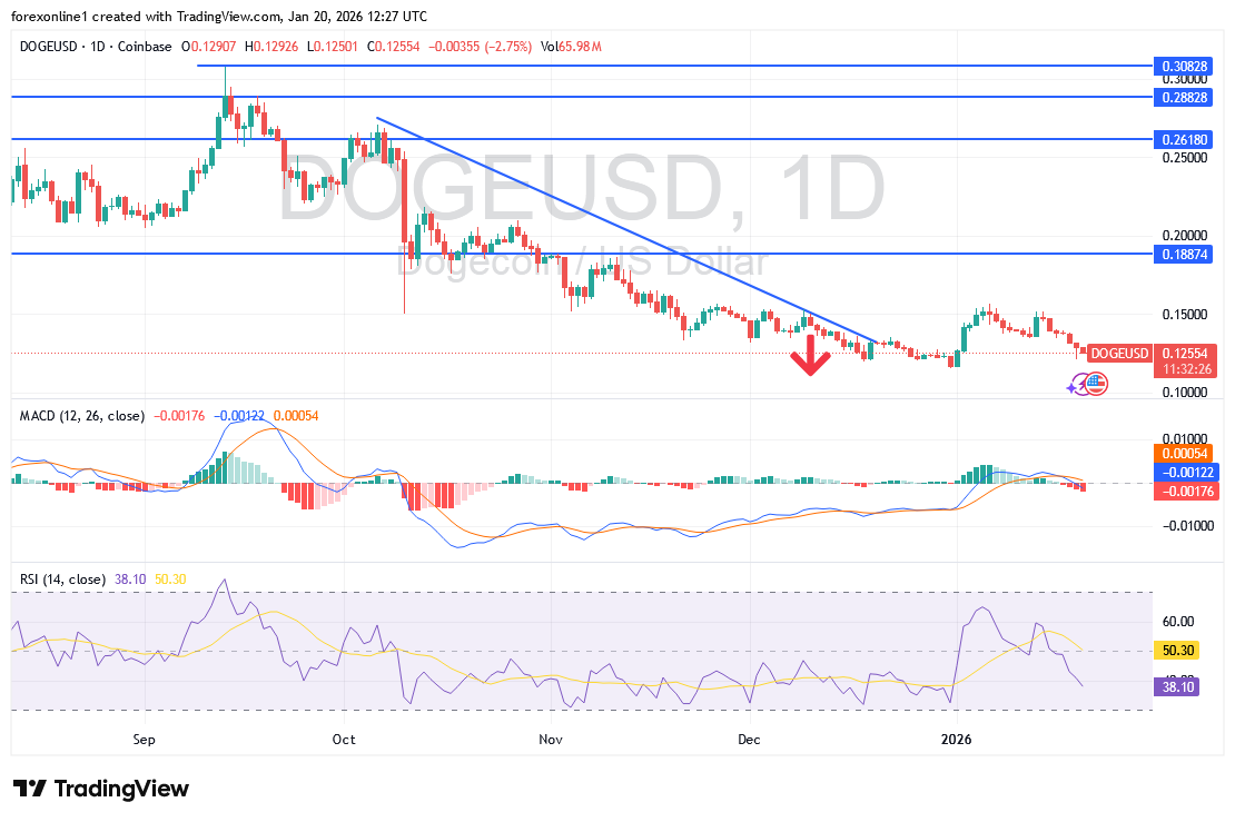 عملة دوجكوين DOGE فى مسار هبوطى قوى