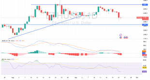 شارت الايثريوم الدولار الامريكى