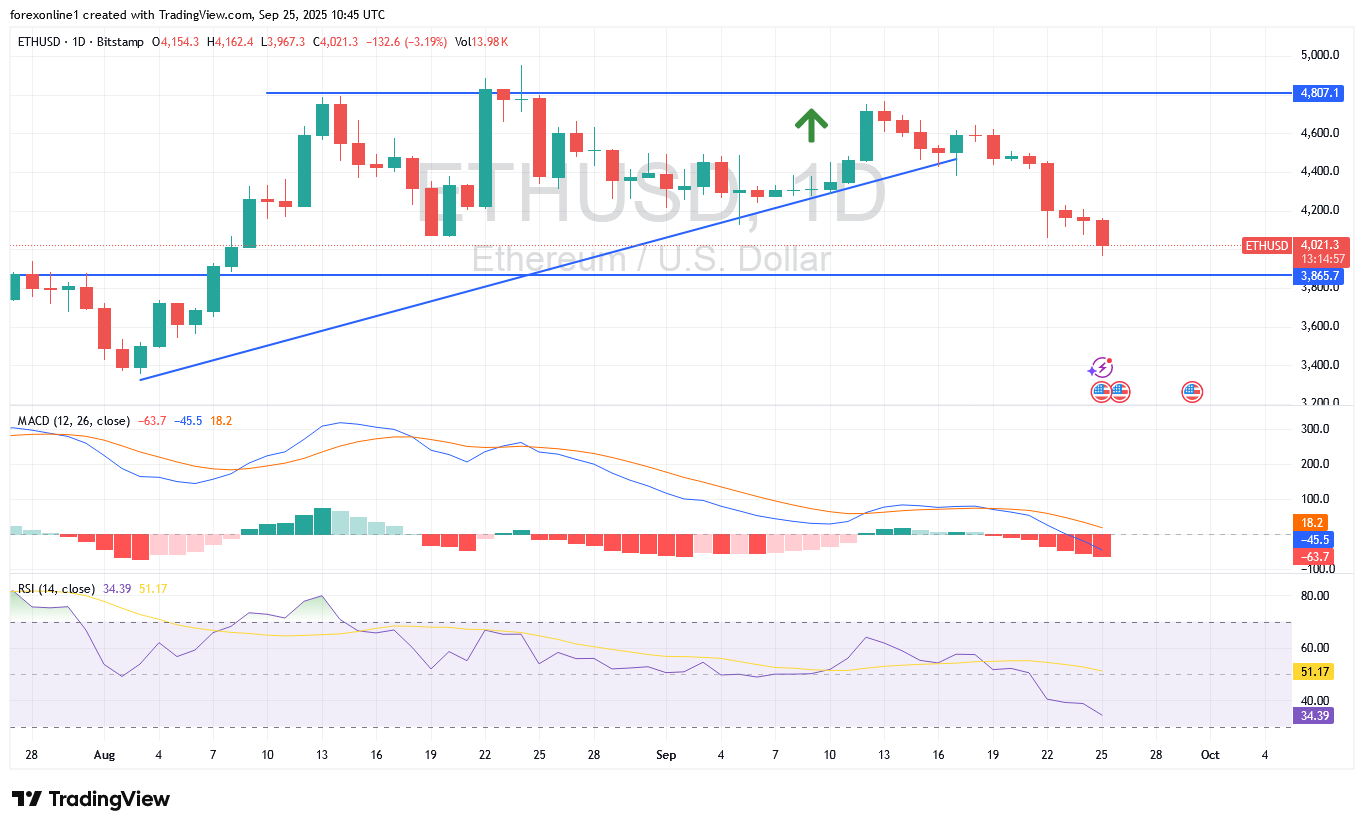 زوج الايثيريوم الدولار الامريكى ETHUSD اليوم يواجه مقاومة قوية