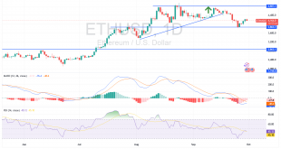 شارت الايثريوم دولار امريكى
