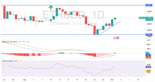شارت الايثريوم دولار امريكى